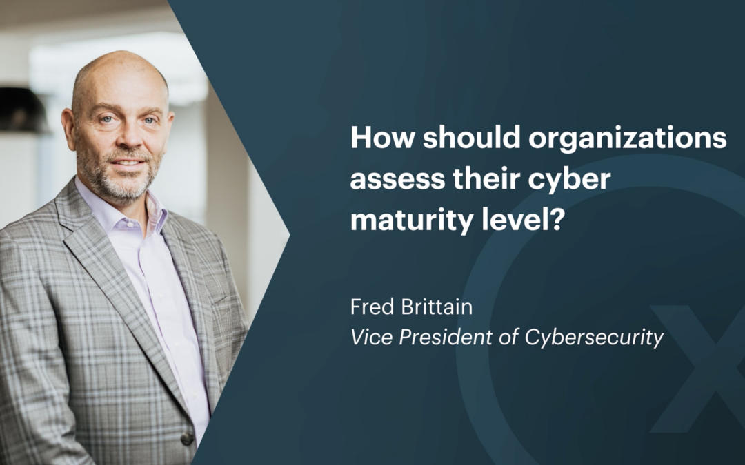 How Should Organizations Assess Their Level of Cyber Maturity?