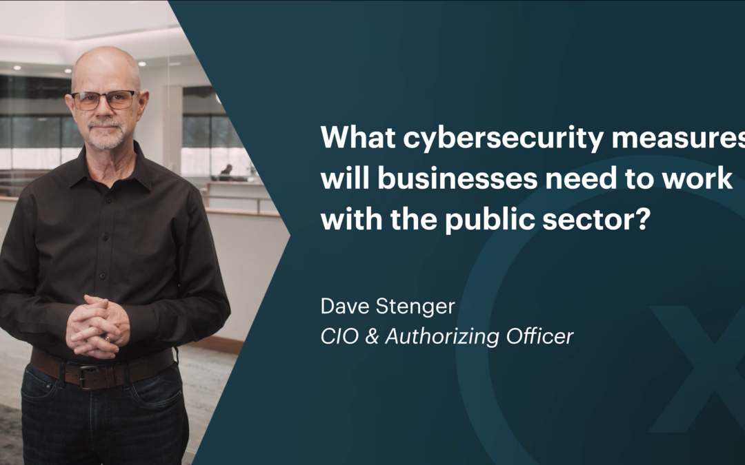 What Cybersecurity Measures Will Businesses Need To Work With The Public Sector?