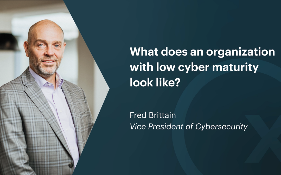 What Does an Organization with Low Cyber Maturity Look Like?